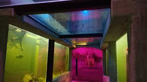 Podwodny Świat Zakopane